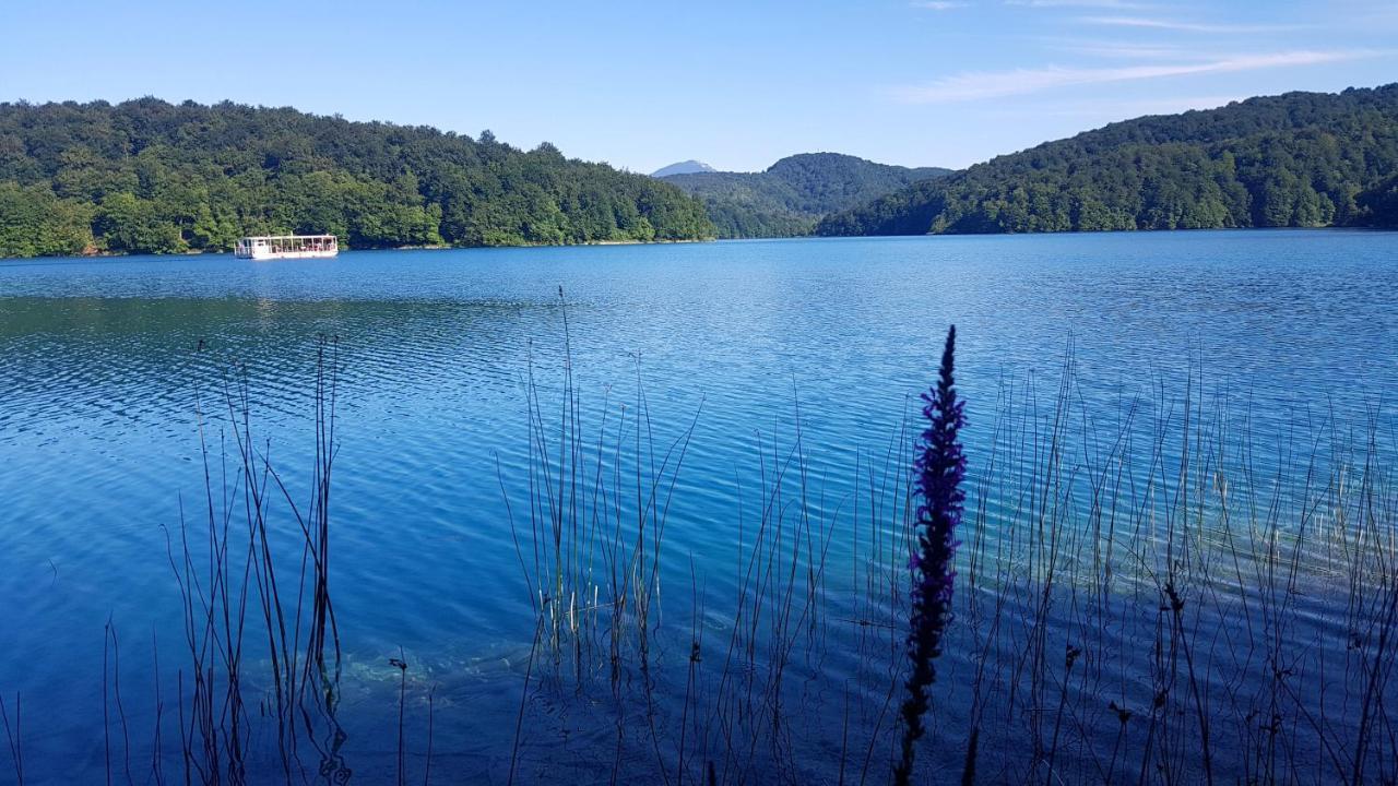 B&B Plitvice Lakes Villa Prica Plitvica selo Eksteriør bilde