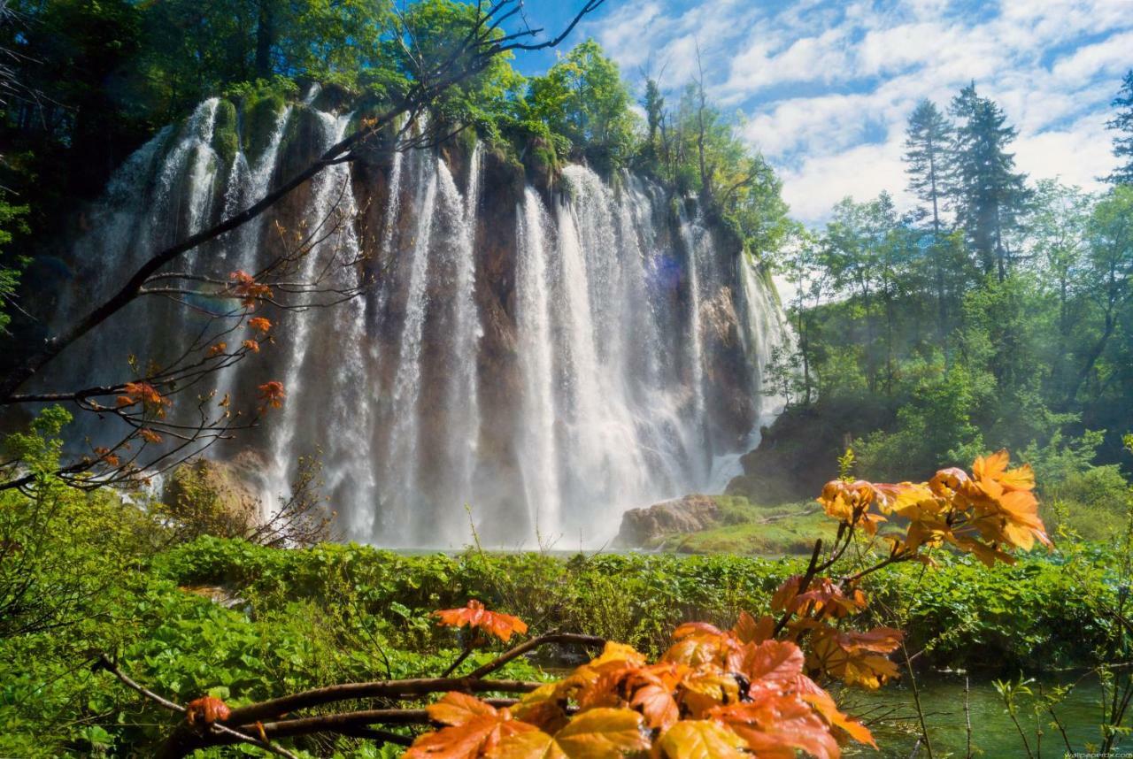 B&B Plitvice Lakes Villa Prica Plitvica selo Eksteriør bilde